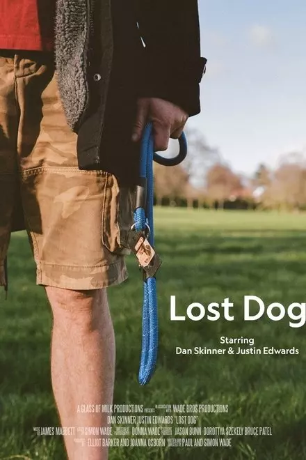 Lost Dog Lost Dog
