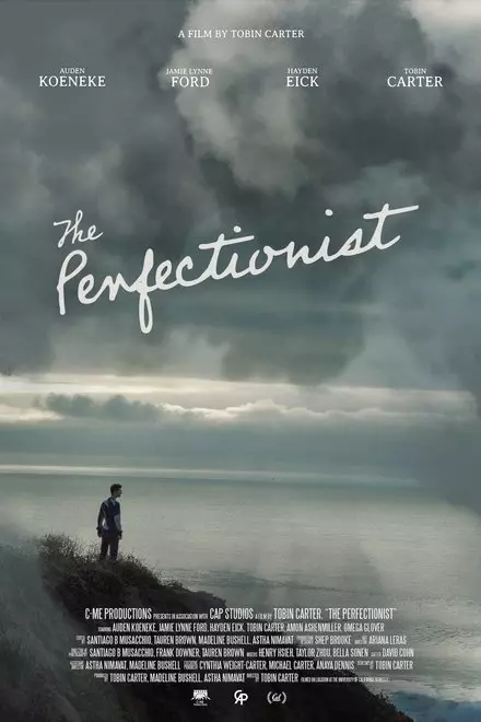 The Perfectionist